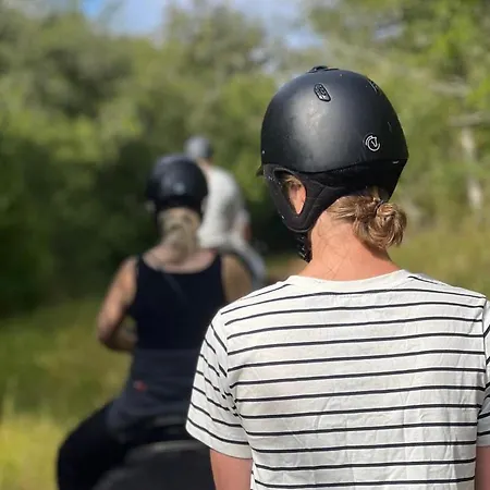 La Petite Maison Du Moulin Salviac