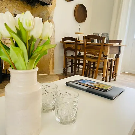 Tatil Evi La Petite Maison Du Moulin Salviac